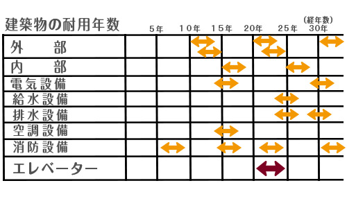 耐用年数